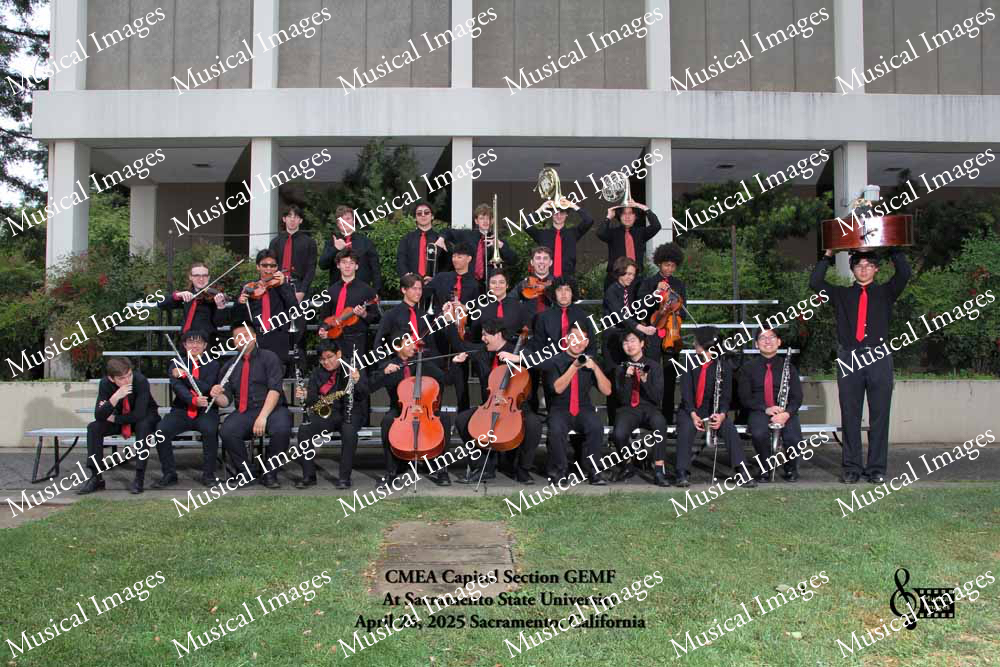 Musical Images